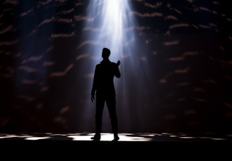 Silhouette of Person on Stage